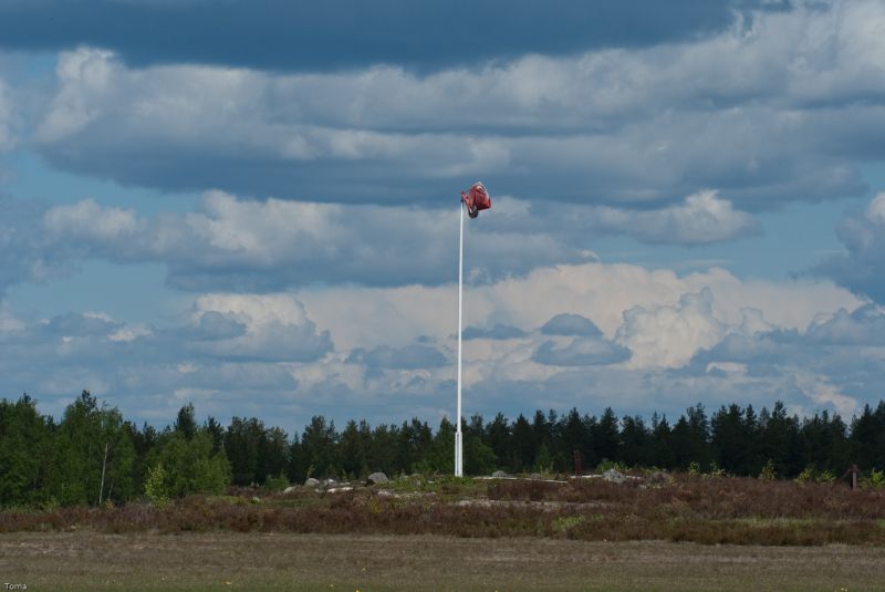 Tämä liikennemäärä oli liikaa jopa tuulitötterölle joka meni järkytyksestä aivan solmuun
