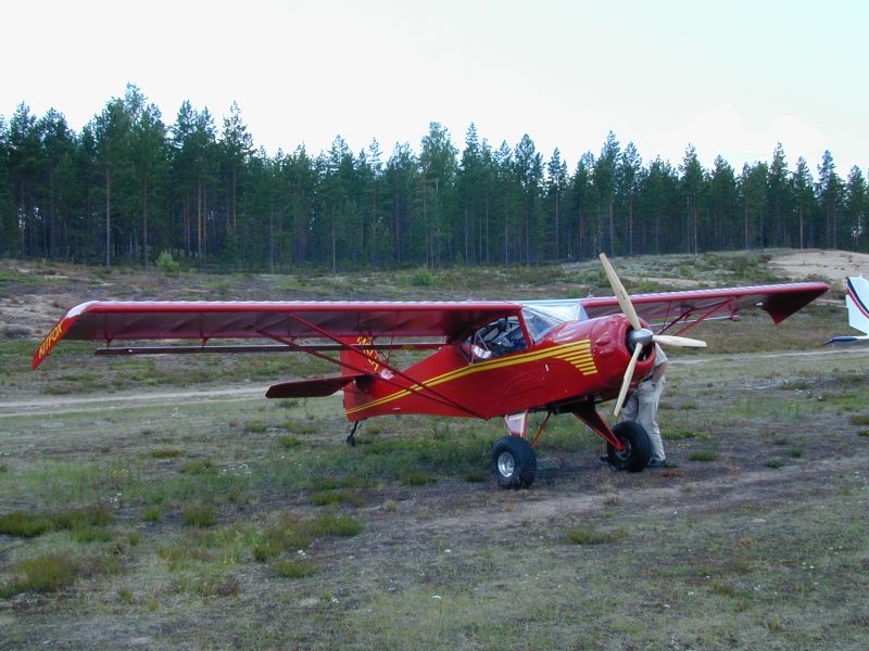 KITFOX.jpg